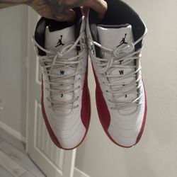 Jordan 12 Size 10 Men