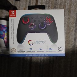 Nintendo Switch Controller