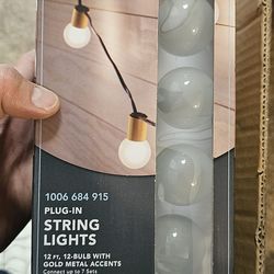 Hampton Bay
12-Light 12 ft. Indoor/Outdoor Gold Socket Plug-ln String Light with Incandescent Bulbs Included