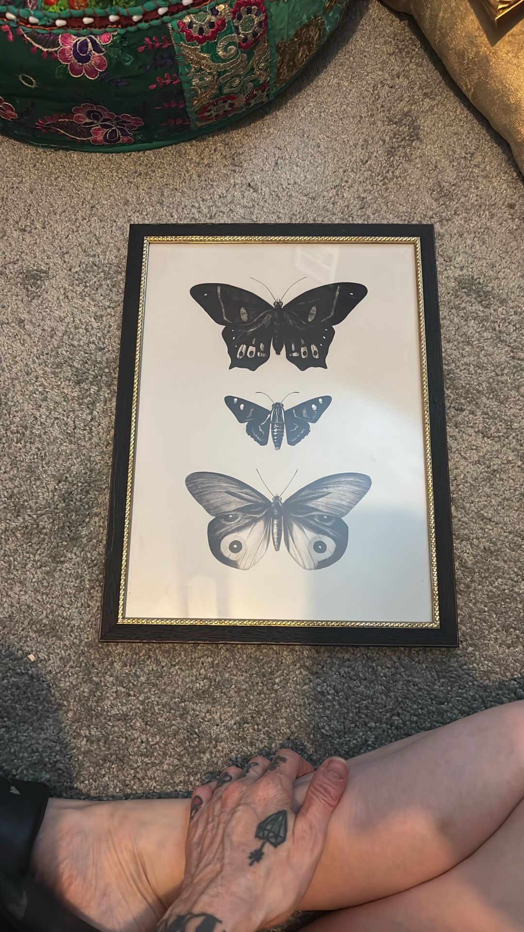 Framed Black And White Butterfly