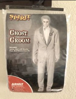 Haunting Beauty & Ghost Groom Spirit Costumes 