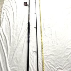 Brand New Never Used With Tags Penn (Squadron-III) 10Ft 2 Piece heavy action, fishing rod