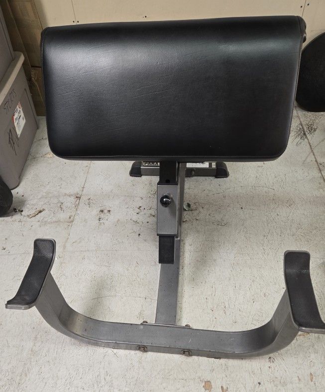 COMMERCIAL PARABODY 800 SERIES ARM CURL BENCH w/CURLING BAR AND WEIGHTS