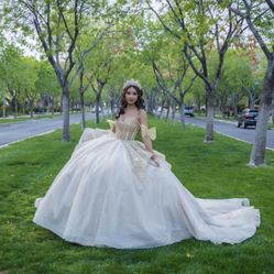 Quince Dress For Sale