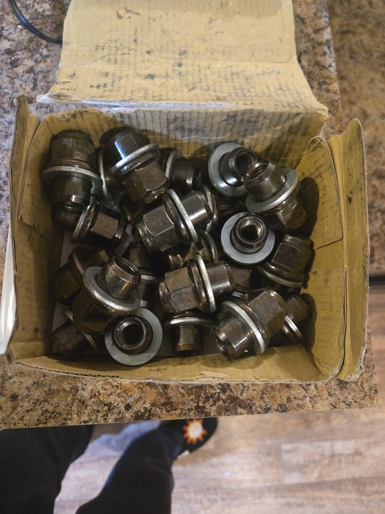 Toyota Lugnuts