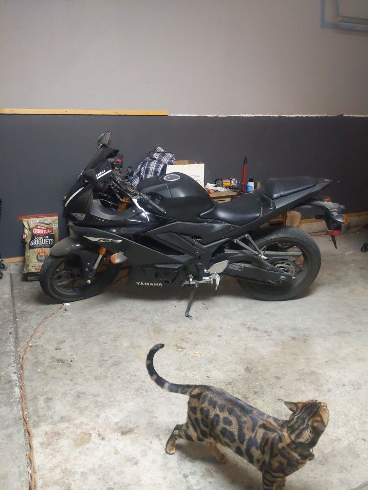 2019 Yamaha R3