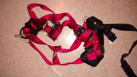 Harness Make an offer