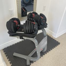  Bowflex ( Whole  Sets ) 