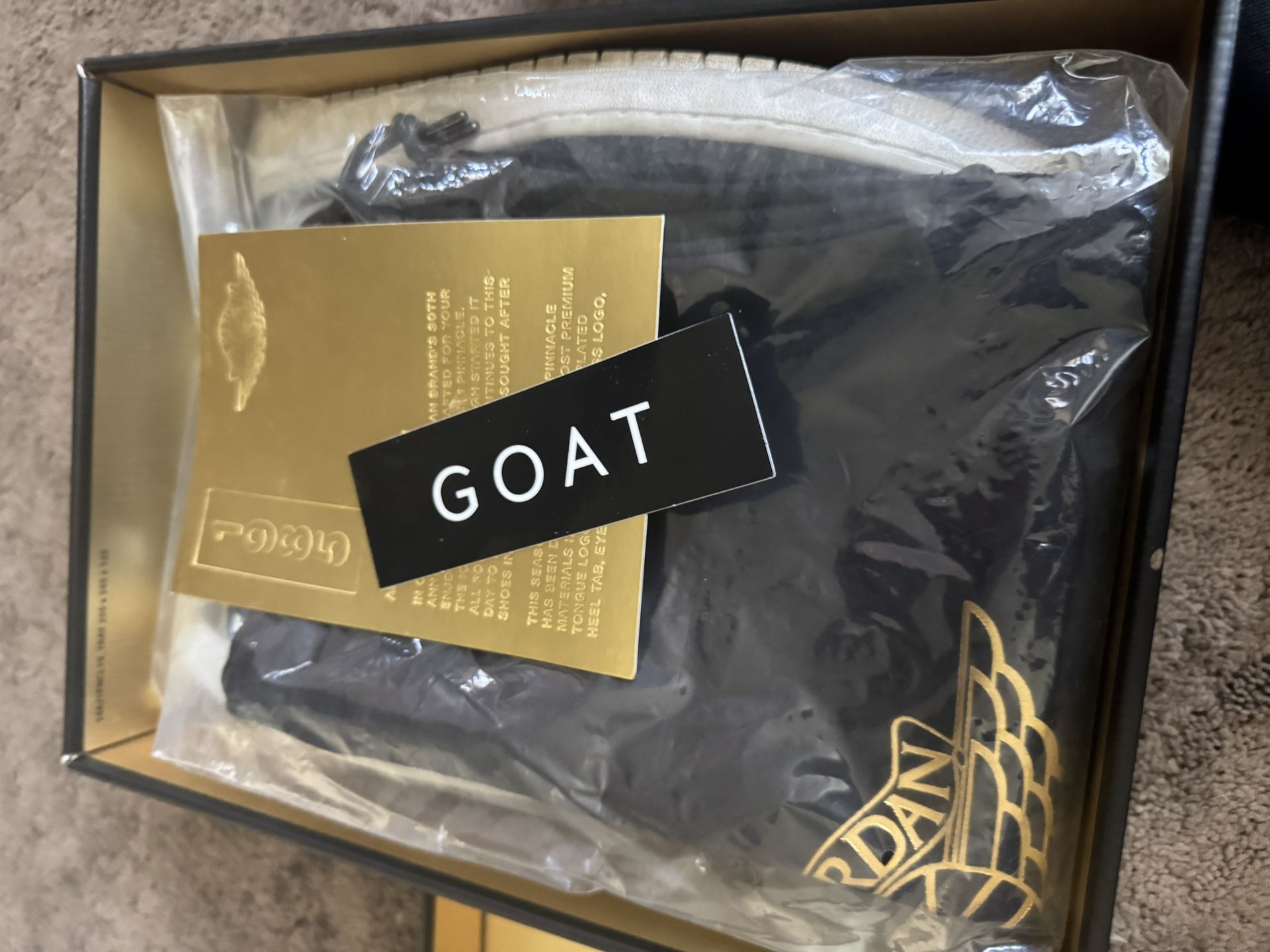 Air Jordan 1 Pinnacles (Size 13)