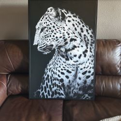 Large Picture  25”-38”