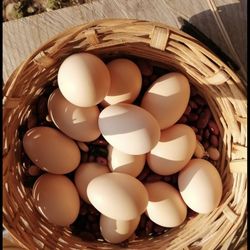 Huevos frescos de pollitas felices