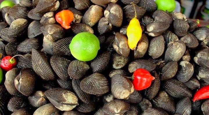 Pata de Mula / Concha Negra / Blood Clams