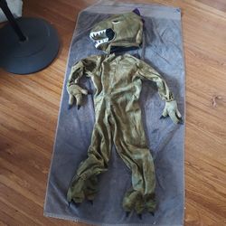 Kids dinosaur costume