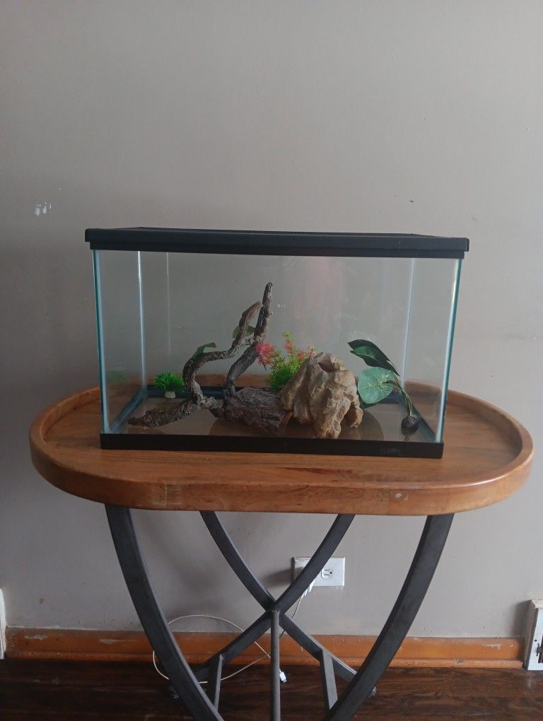 Aquarium Fish Tank With Accessories And Lid