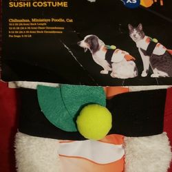 Dog / Cat Halloween Costume 