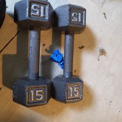 15 Pound Dumbbells 