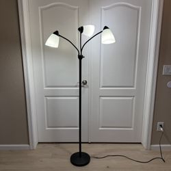 Floor lamp 