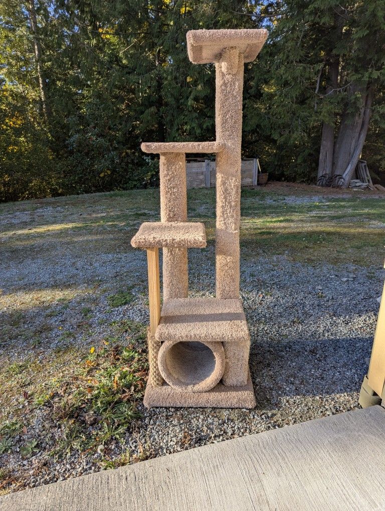 Cat Tower
