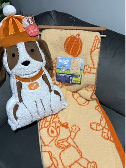 Blanket & pillow/ New