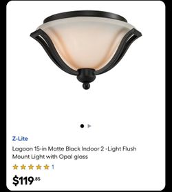 15” Matte Black 2 Bulb Light Flush mount light with opal glass