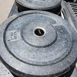 100 Lbs Olympic Bumper Weights (4-25s)