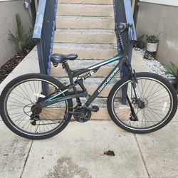 Genesis Abstract Bike