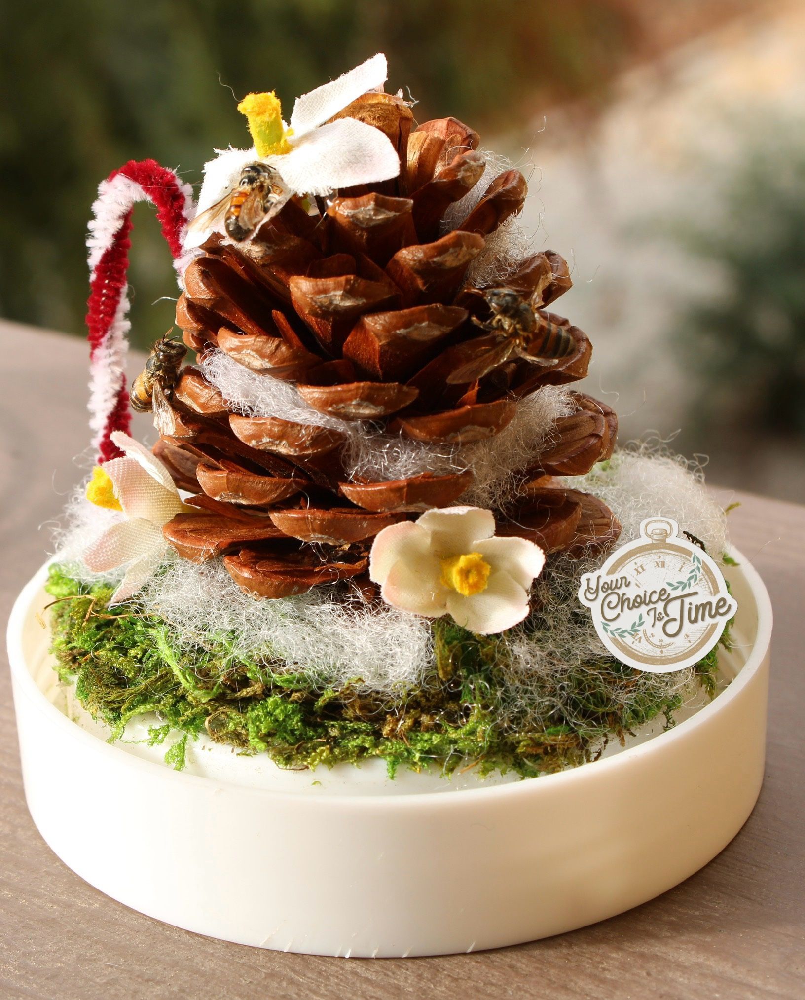 Taxidermy christmas insect globe