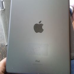 iPad 