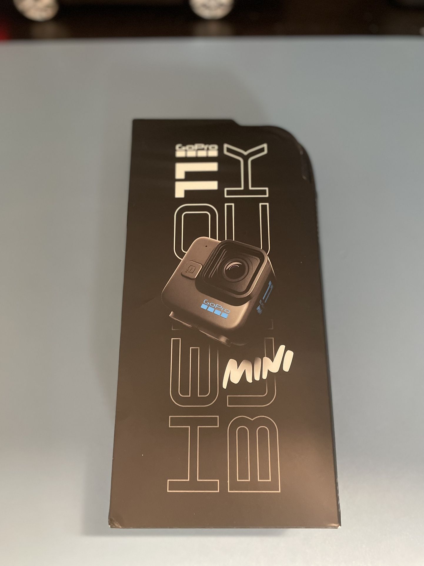 Hero 11 Mini Action Camera