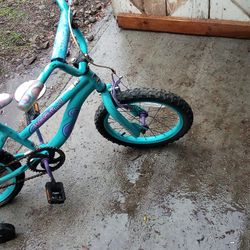 Lil Girls Bike w/Training Wheels 