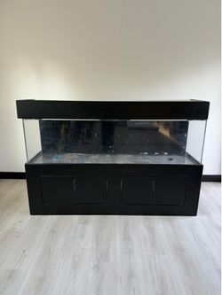 6 foot 125 gallon acrylic fish tank