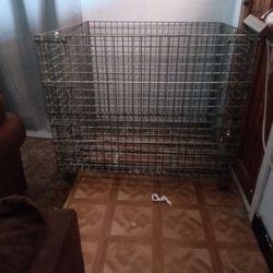 Dog Kennel 