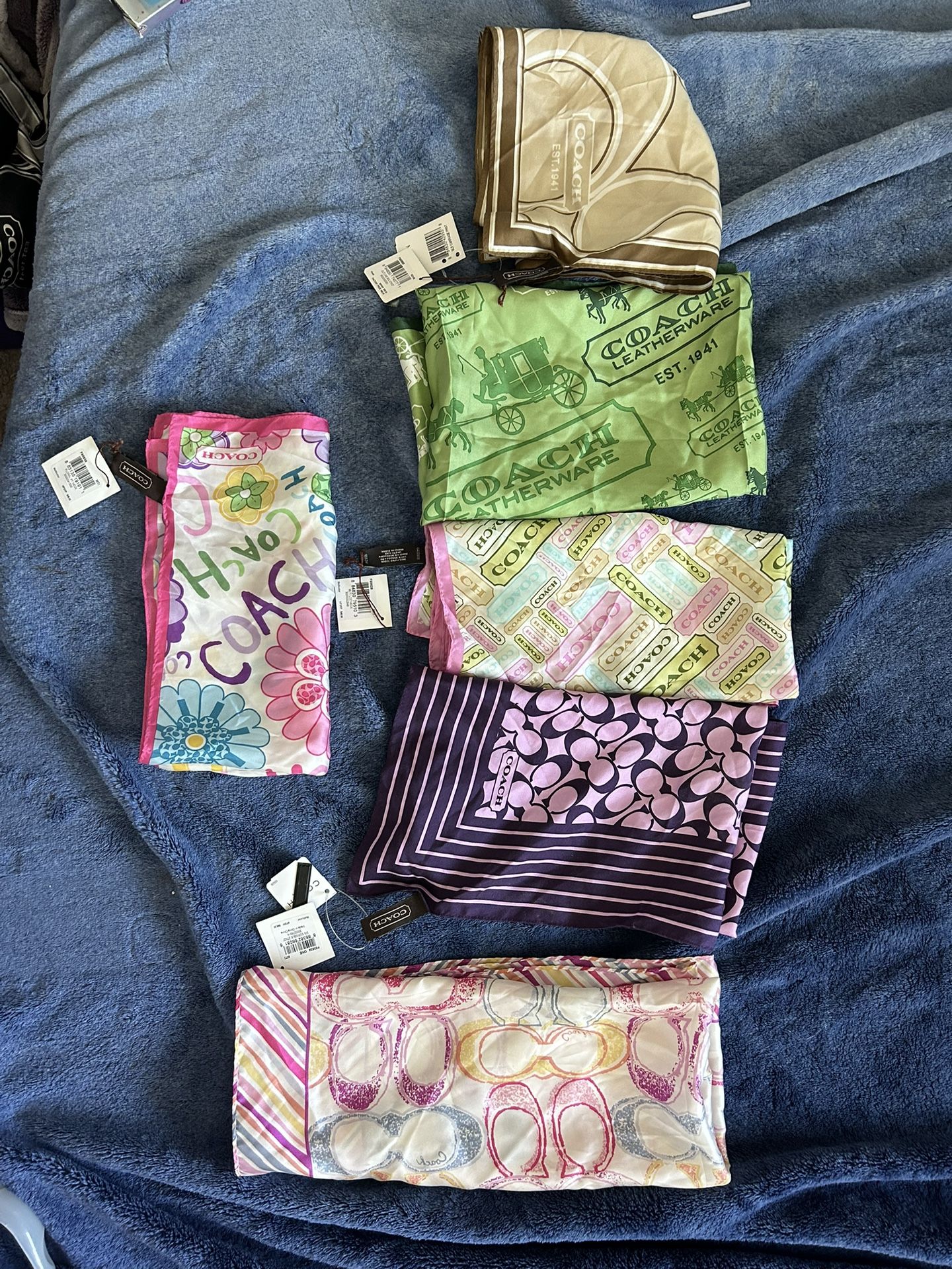Coach Scarves