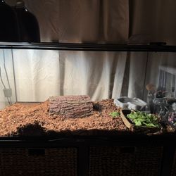 40 gallon reptile tank - MUST SELL