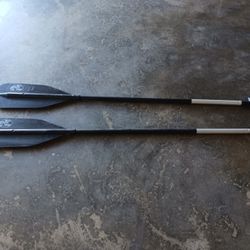 Bass Pro Paddles