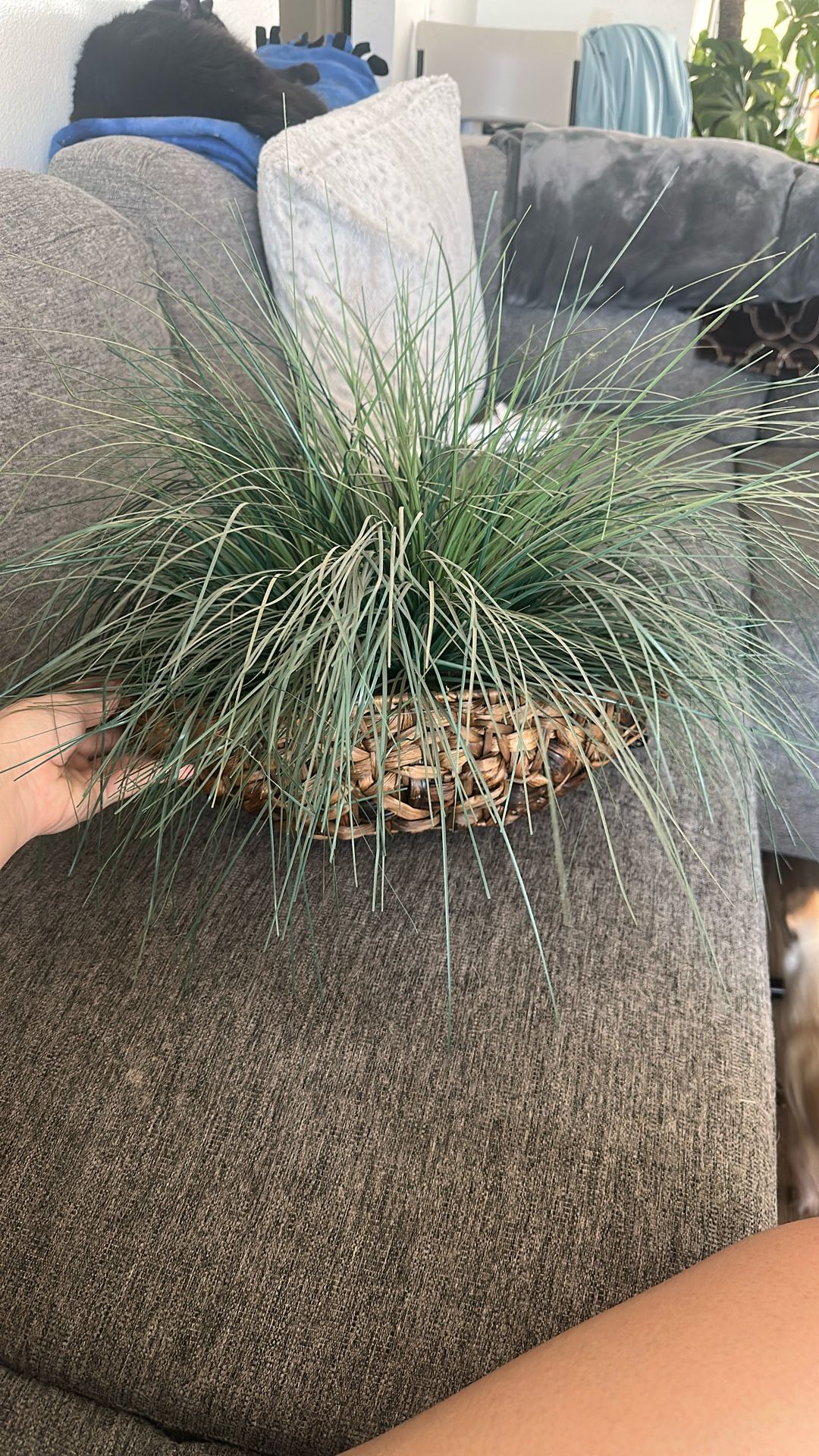 Decorative Fake Plant