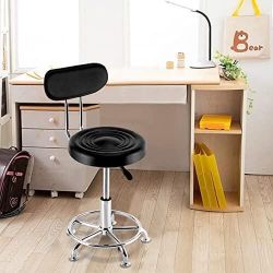 Adjustable Swivel Salon Stool with Backrest