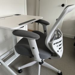 Ergonomic Office Chair