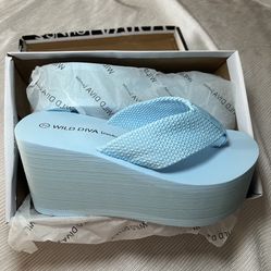 Blue Wedge Sandals