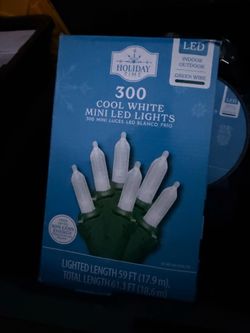 300 cool white led Christmas light