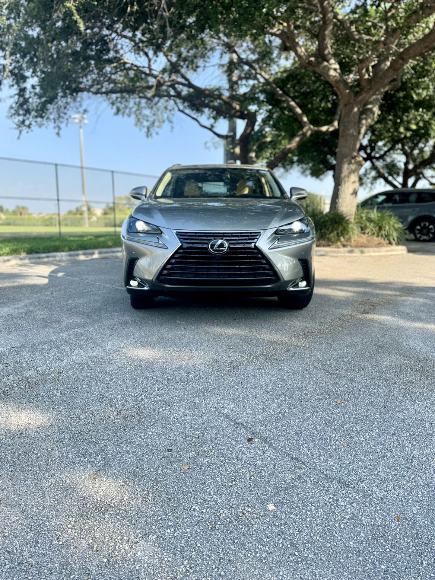 2019 Lexus NX 300