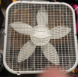 Fan