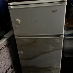 Mini Fridge 