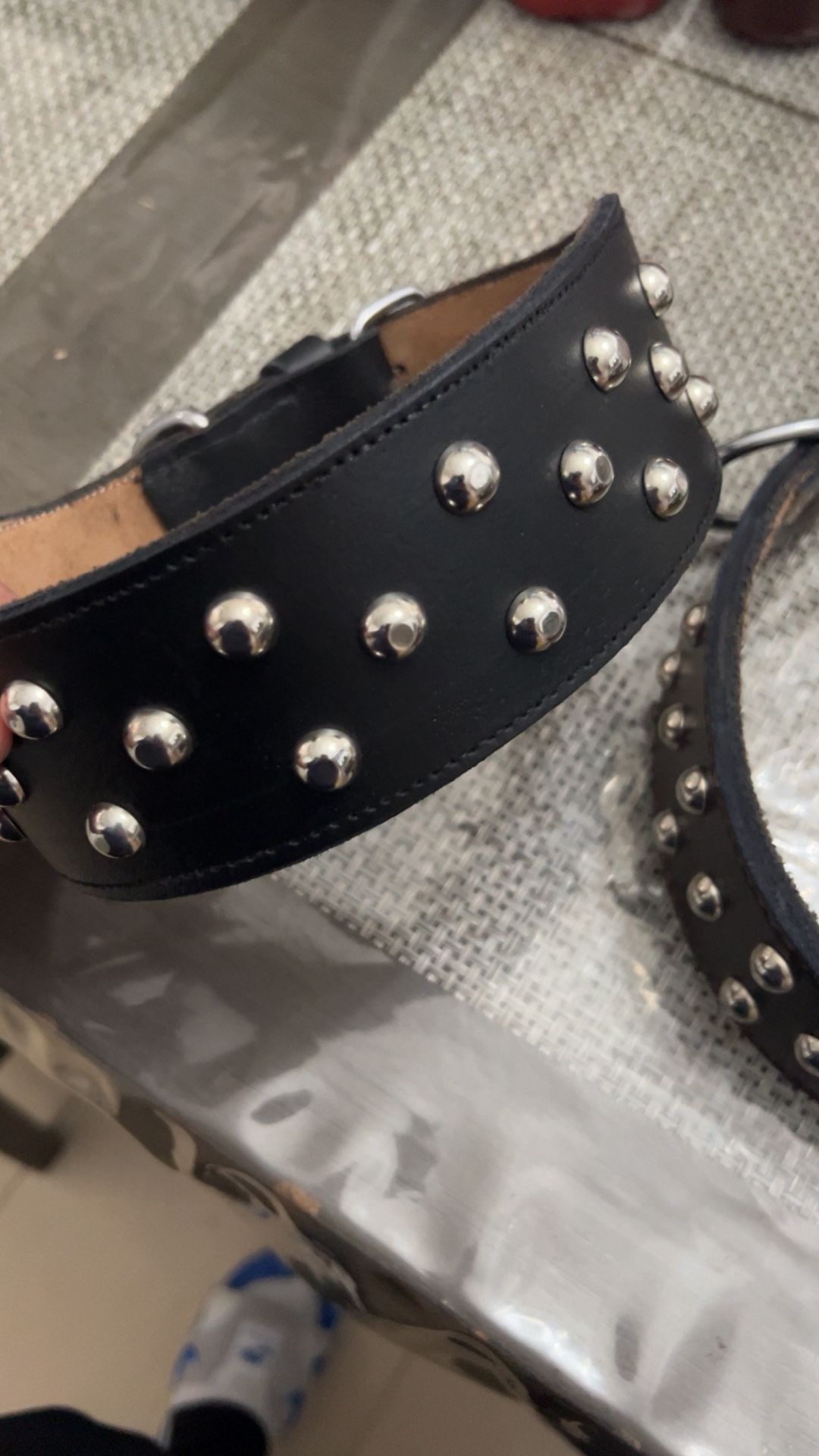 Leathe Dog Collar And Leashes 