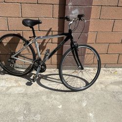 Trek Bike 