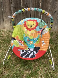 Safari Surprise Bouncer 