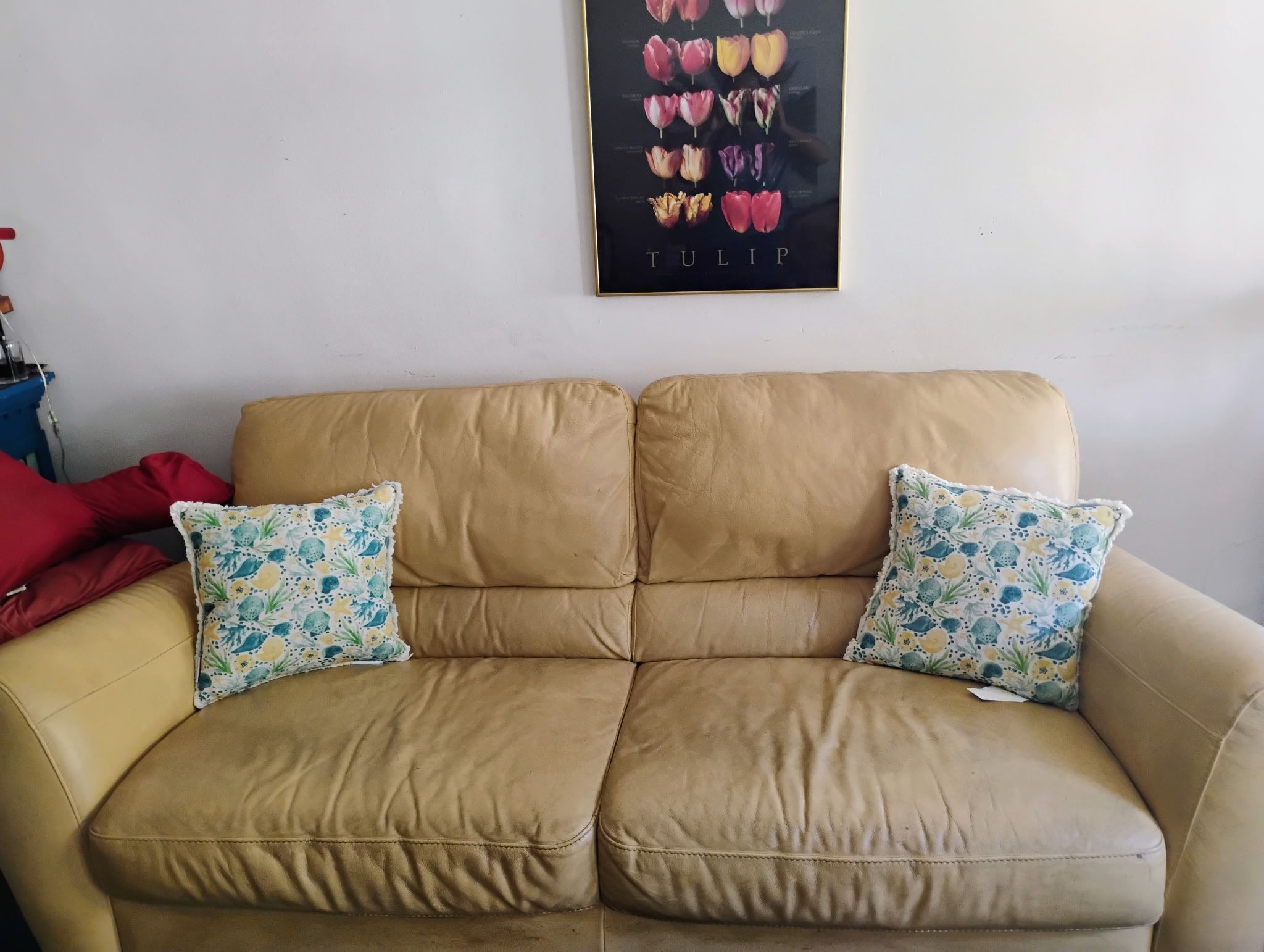 Leather Tan Couch