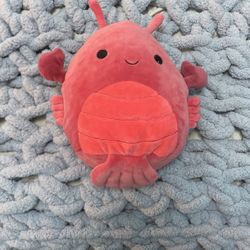 Lobster squish, mellow