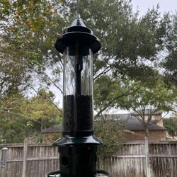 Bird Feeder squirrel buster plus bird feeder used 