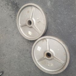 35lbs Olympic Weights